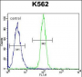 HMG1L10 Antibody (N-term)